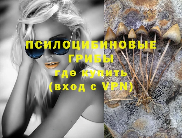 apvp Бронницы