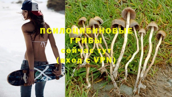 прущие крисы Бугульма