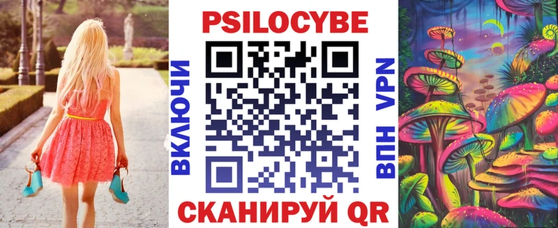 мега   площадка наркотические препараты  Псилоцибиновые грибы Psilocybe  Горно-Алтайск 