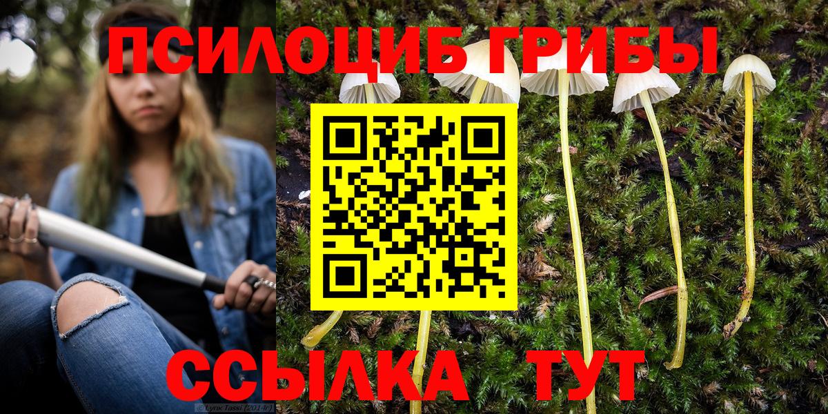 Горно-Алтайск  Галлюциногенные грибы Cubensis  Вход с VPN 